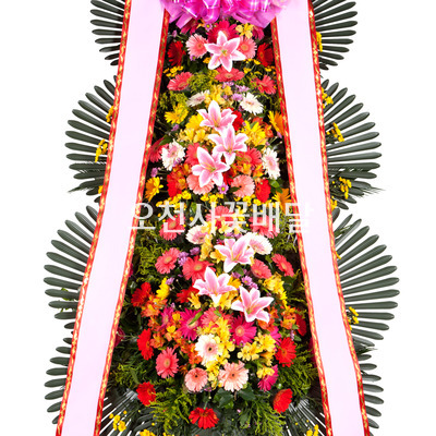 축하화환