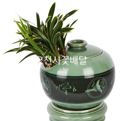 대국 청자