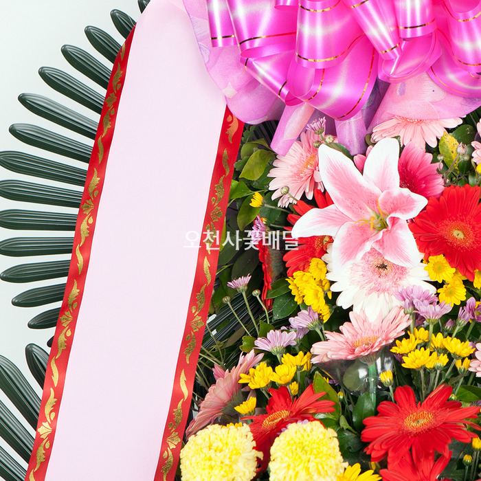 상세이미지