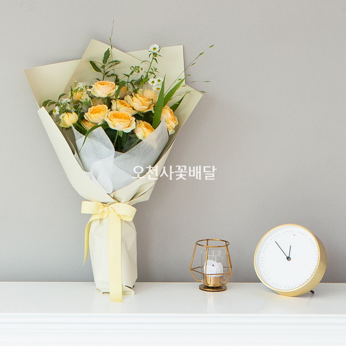 상세이미지