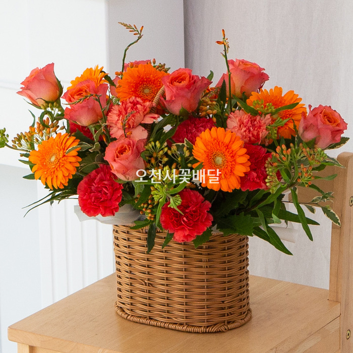 상세이미지