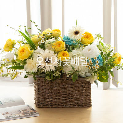 응원해요