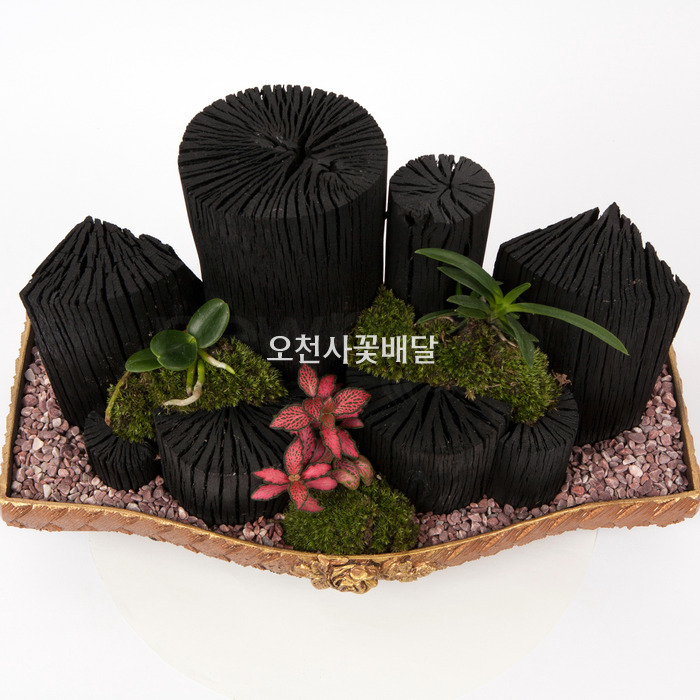 상세이미지