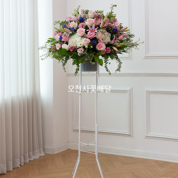 상세이미지