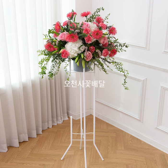 상세이미지