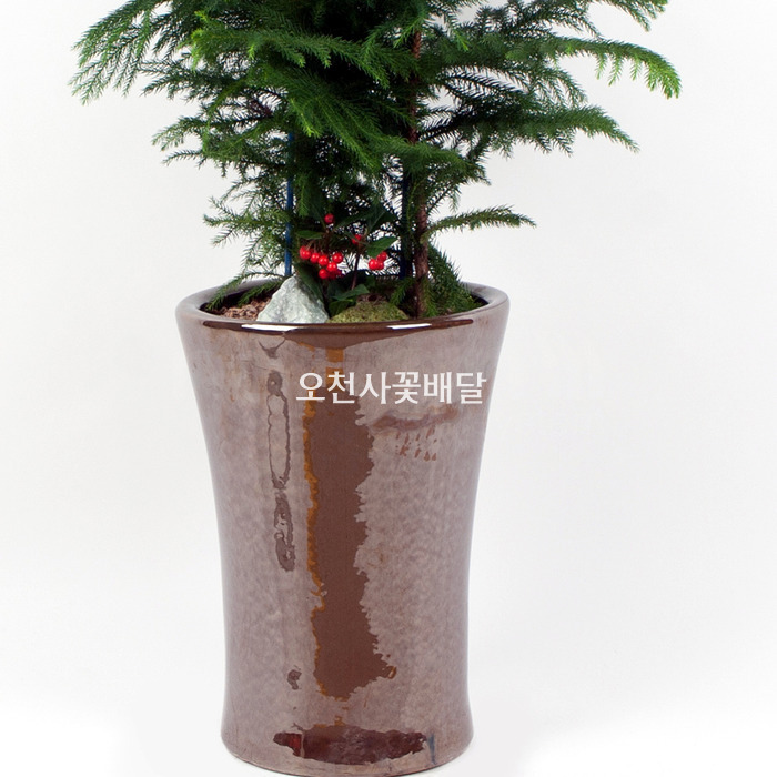 상세이미지