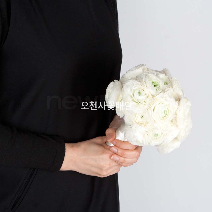 상세이미지