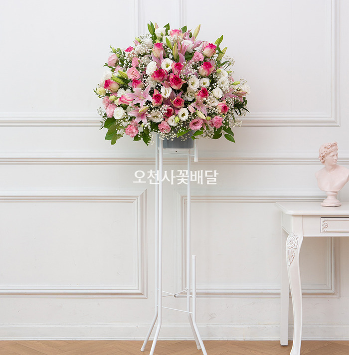 상세이미지