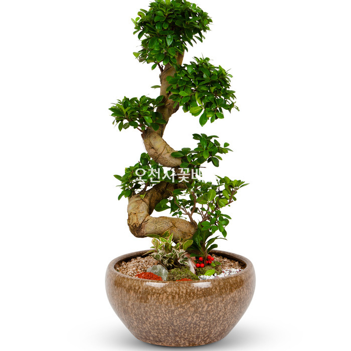 상세이미지