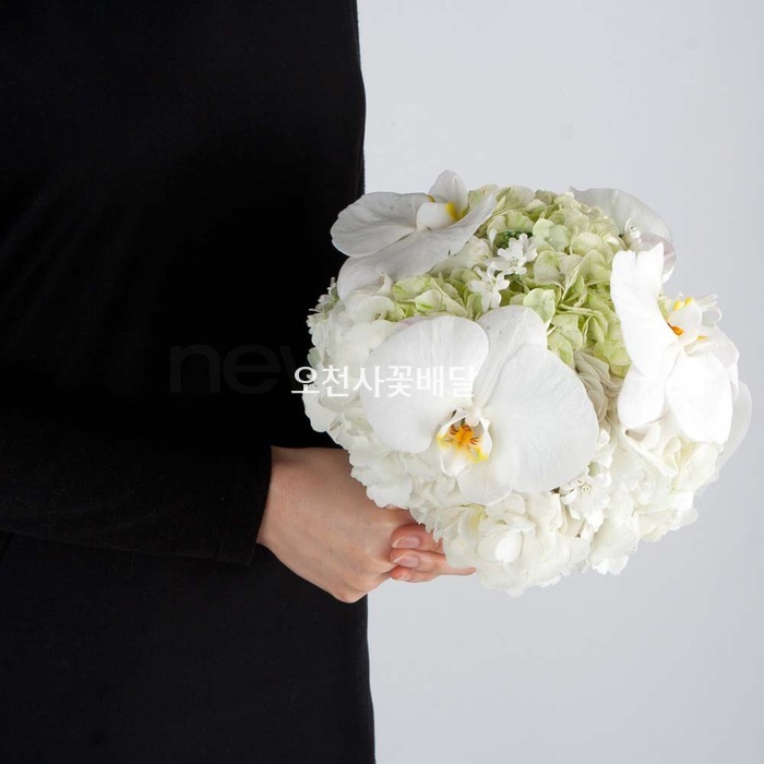 상세이미지