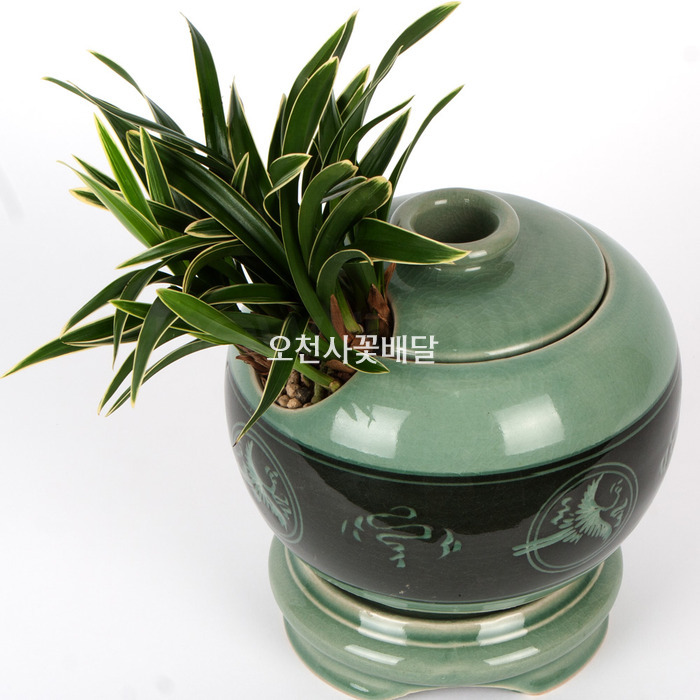 상세이미지