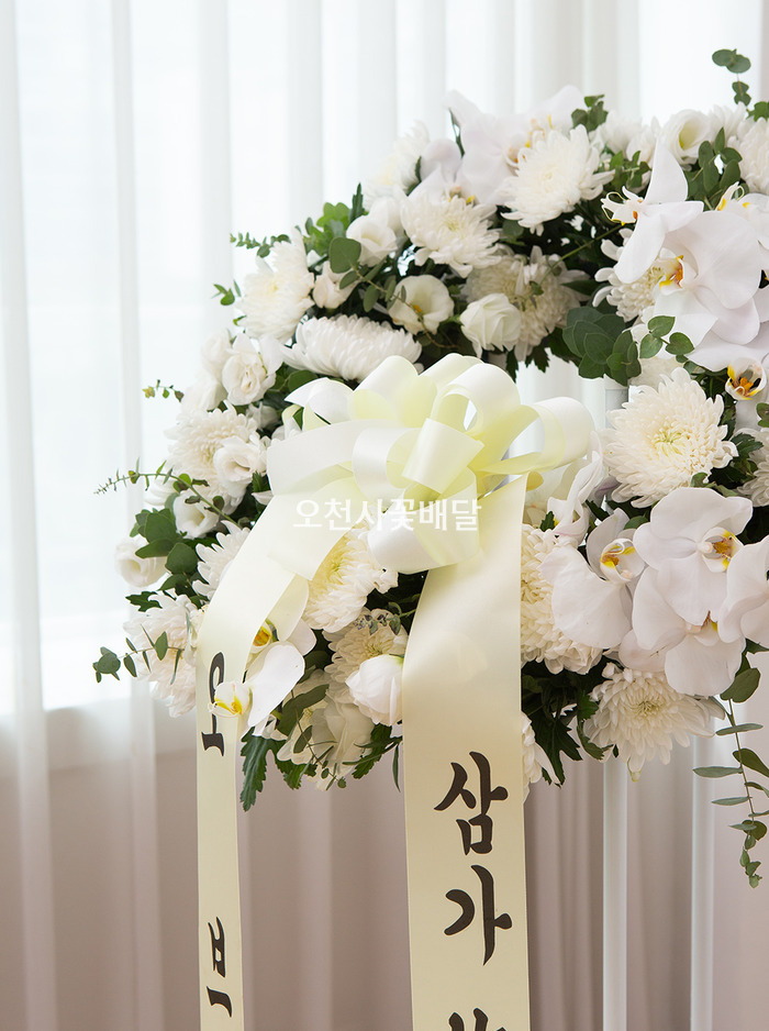 상세이미지
