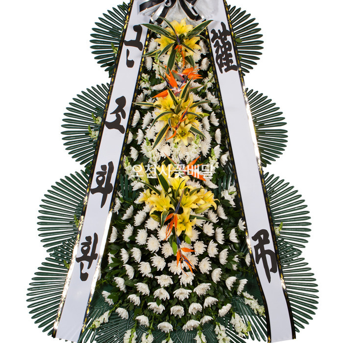 상세이미지