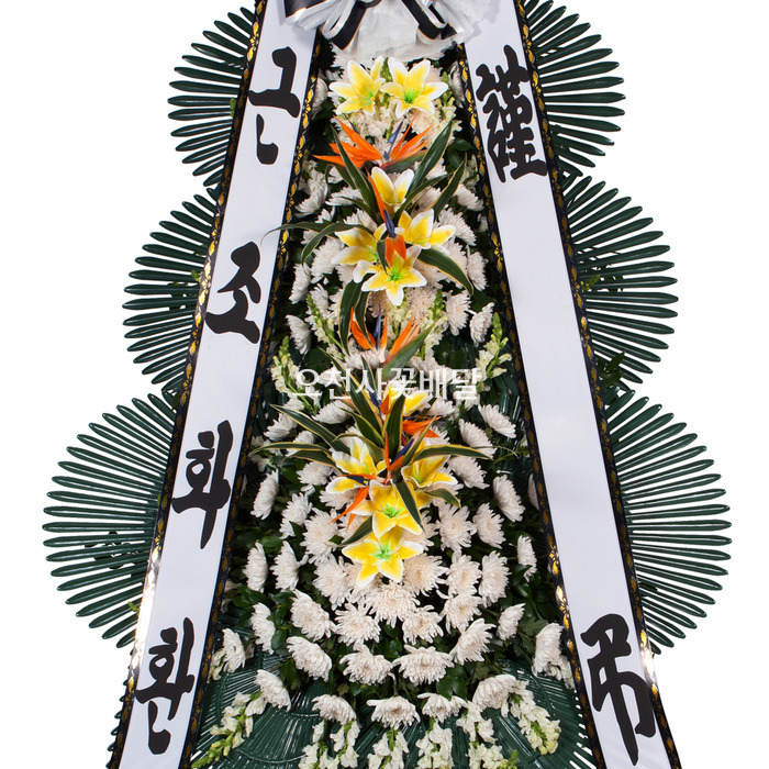 상세이미지