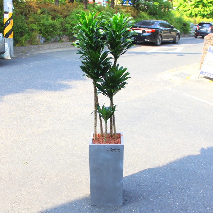 상세이미지