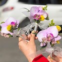 호접란 코사지