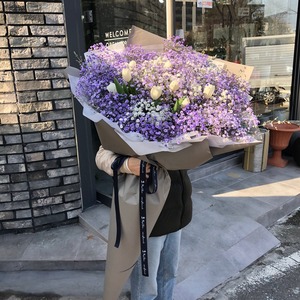 보라안개 장미 대형꽃다발 (대전만 가능)